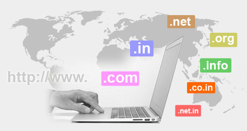 Domain Hosting Solutions